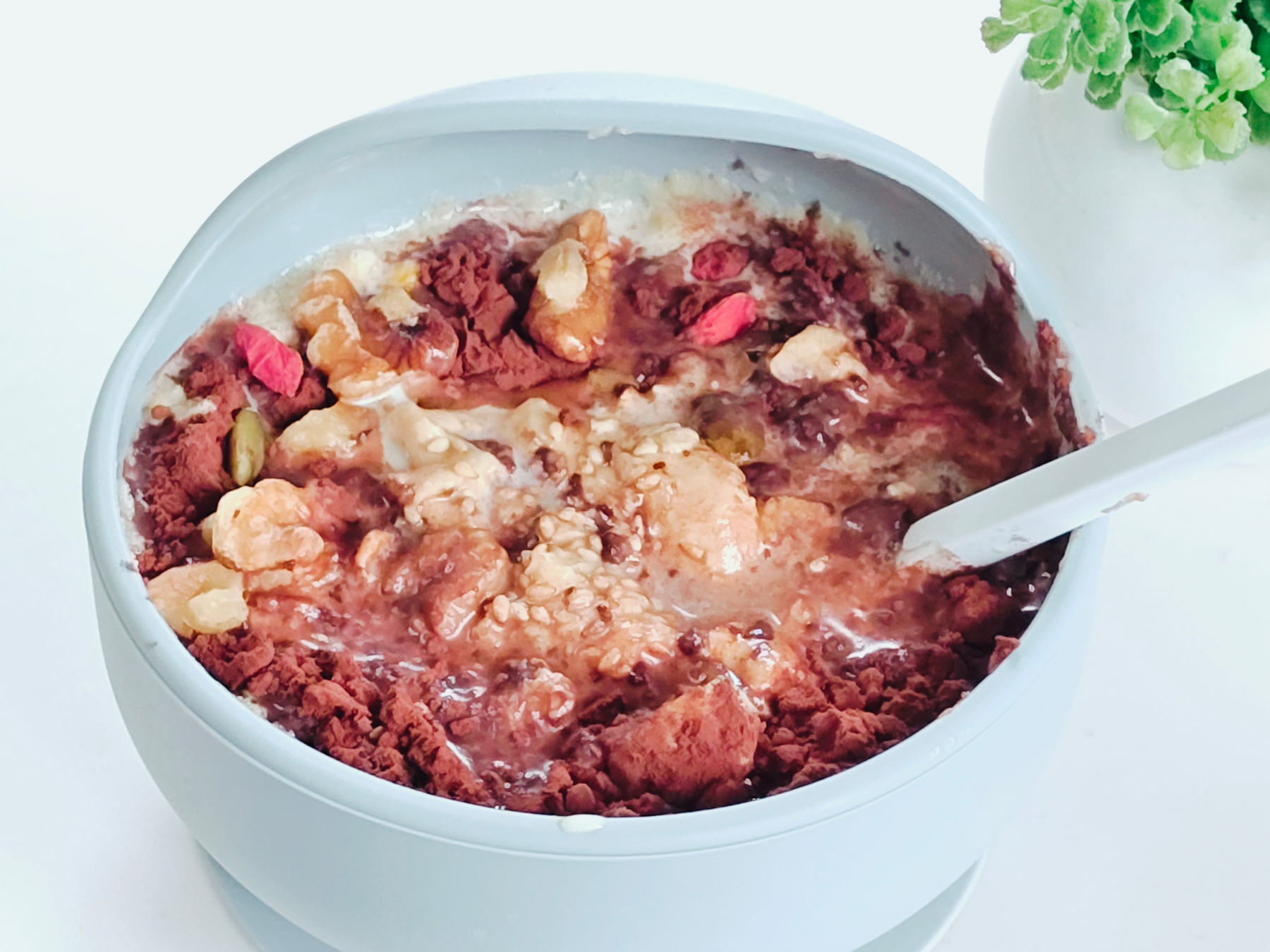 Auto-generated description: A bowl of oatmeal topped with cocoa powder, nuts, seeds, and dried fruit is placed next to a small green potted plant.